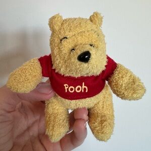 Disney Parks Winnie The Pooh Bear Plush Magnet